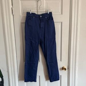 Everlane Indigo Way High Jean